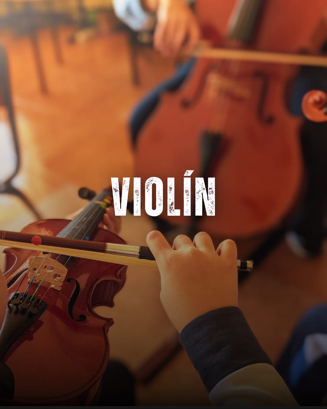 Violín